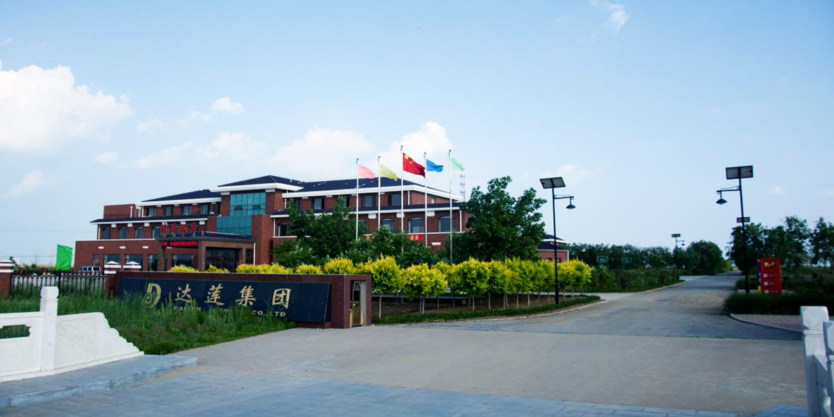 熱烈慶祝達(dá)蓮海參網(wǎng)站正式上線！