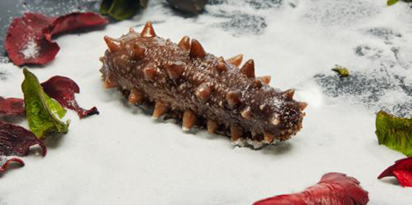 怎樣快速的區(qū)分淡干海參、鹽干海參和凍干海參？